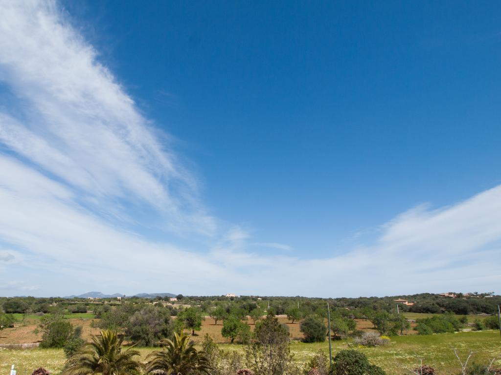 Agroturismo S Hort De Can Carrio Ag226 Ses Salines  Bagian luar foto